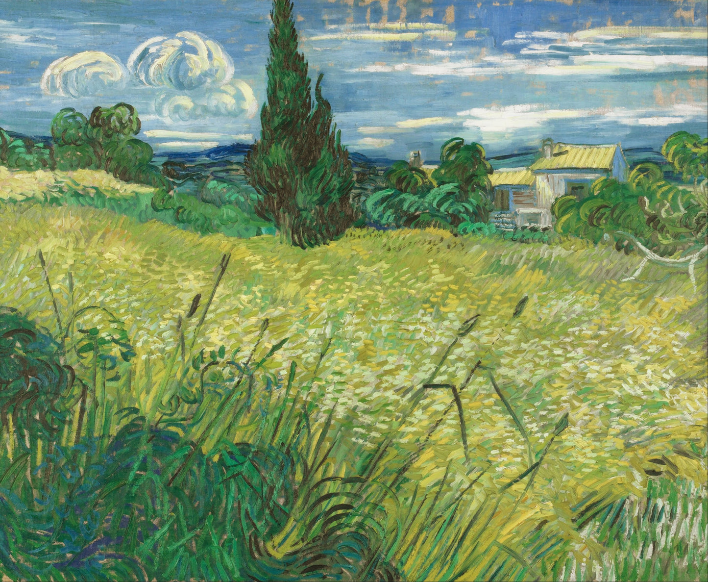 Vincent Van Gogh - Green Field